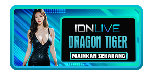 IDN DRAGON TIGER